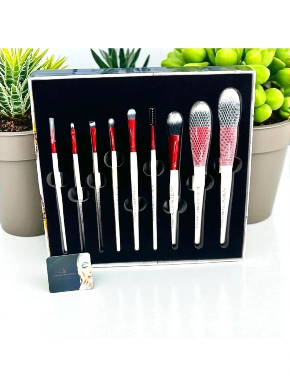 Predire brush collection complete 12